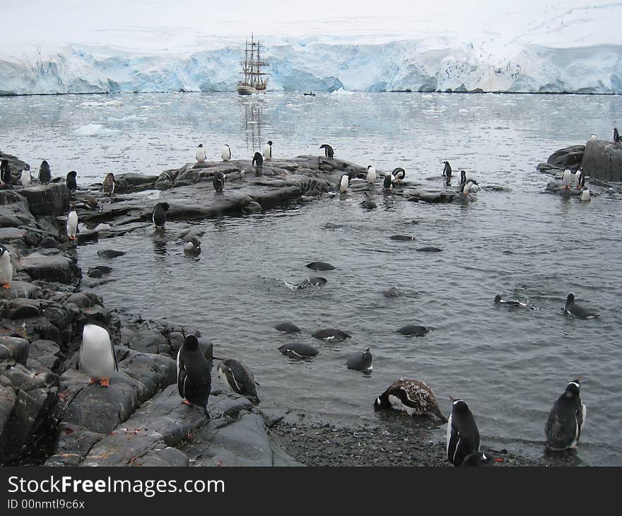 Penguin pool at Port Lockroy