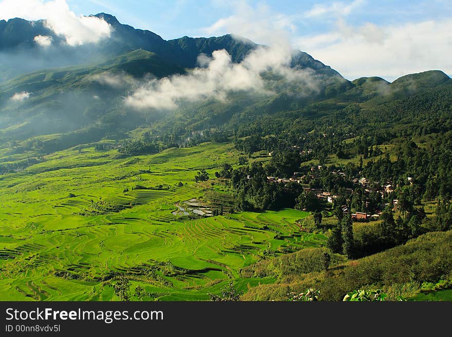 Terrace fields bathing sunlight in the valley of southwest China