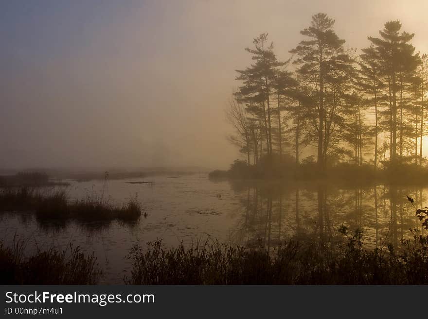 Back-lit trees by a fog covered lake in New England. Back-lit trees by a fog covered lake in New England.