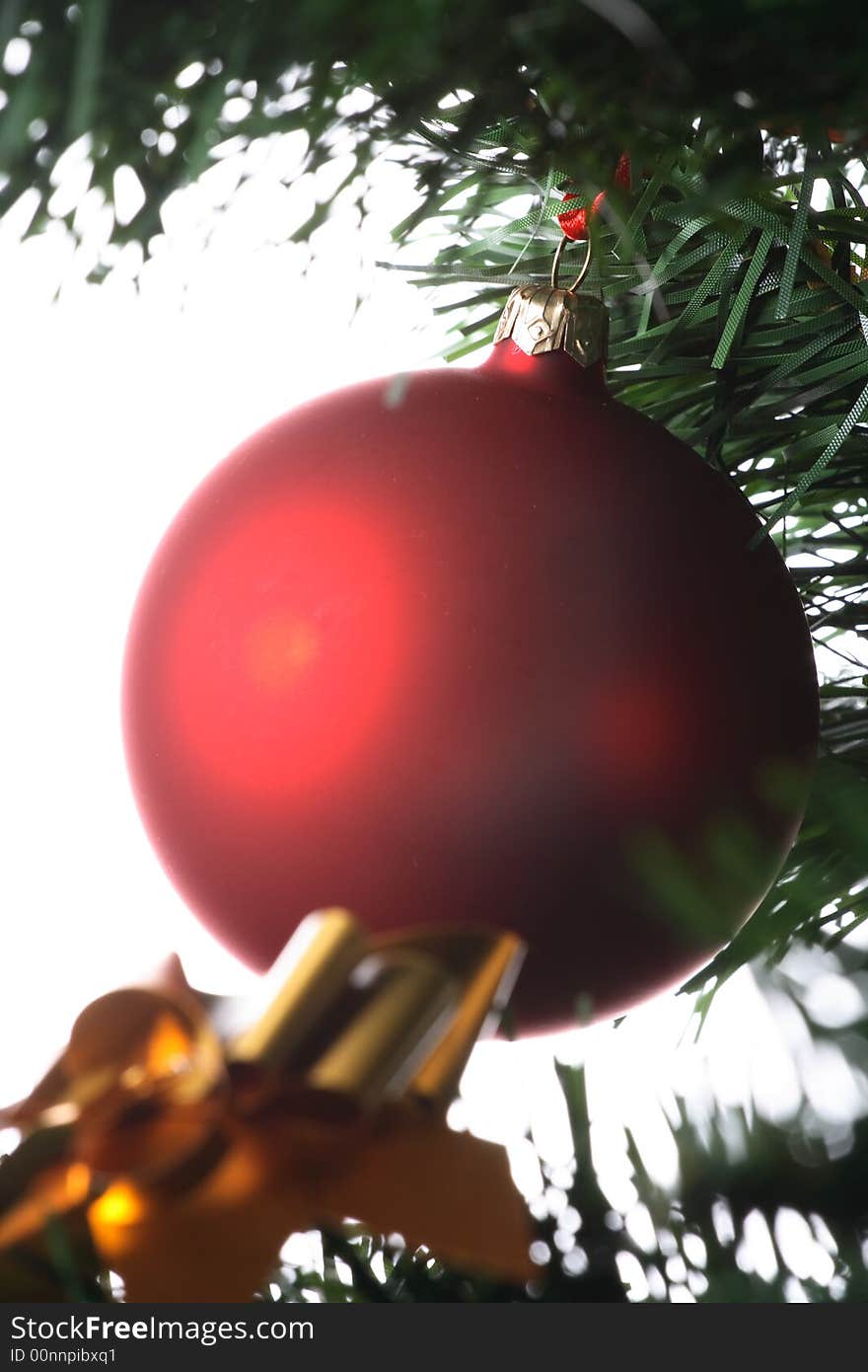 Red ball hanging from christmas tree.