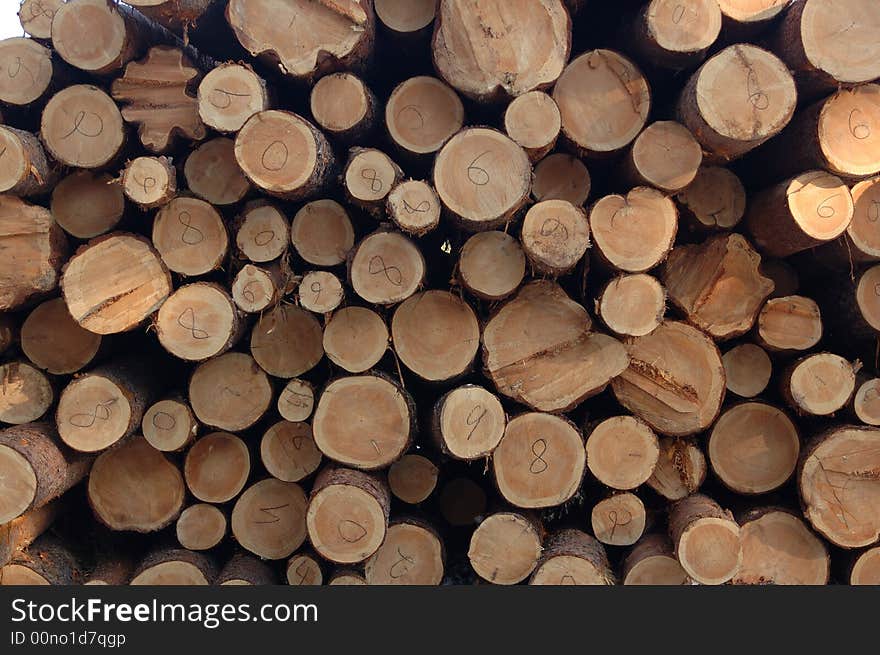 Stack of wood at lumbermill