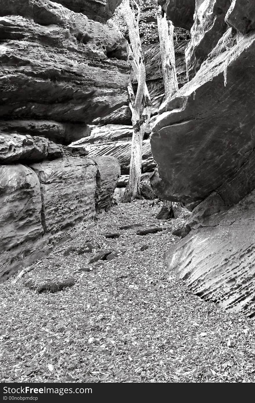 An image of old stone in forest