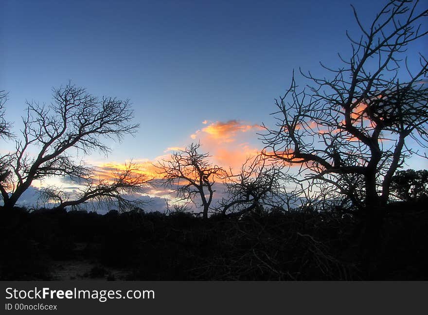 Sunset over the forest