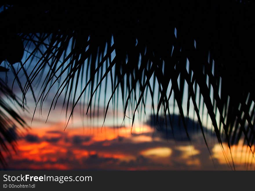 Tropical sundown photgraphed in Holetown, Barbados