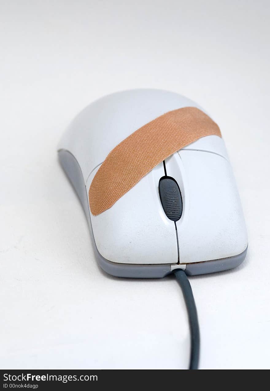 The white mouse with a wheel on a white background