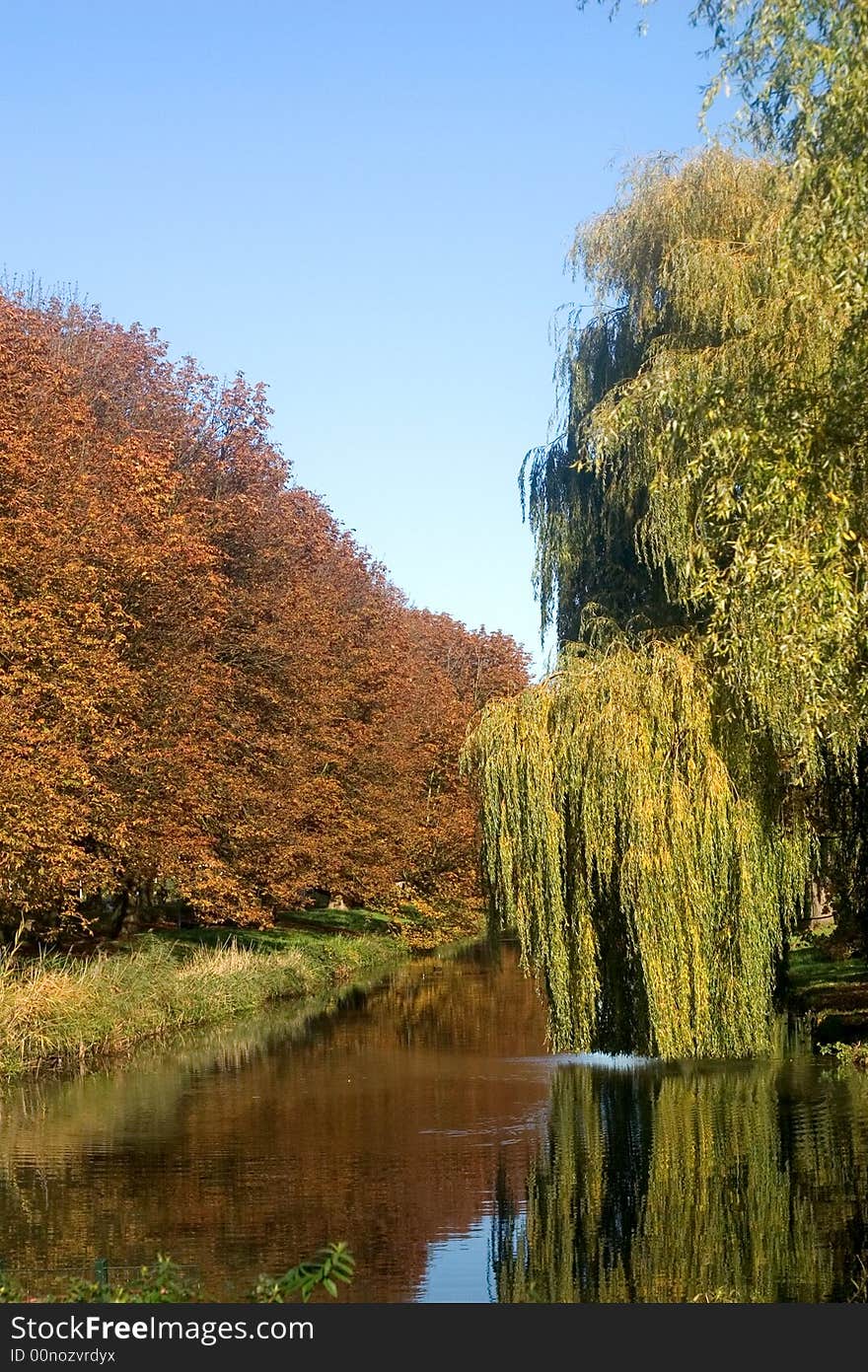 Autumn landscape with trees and water