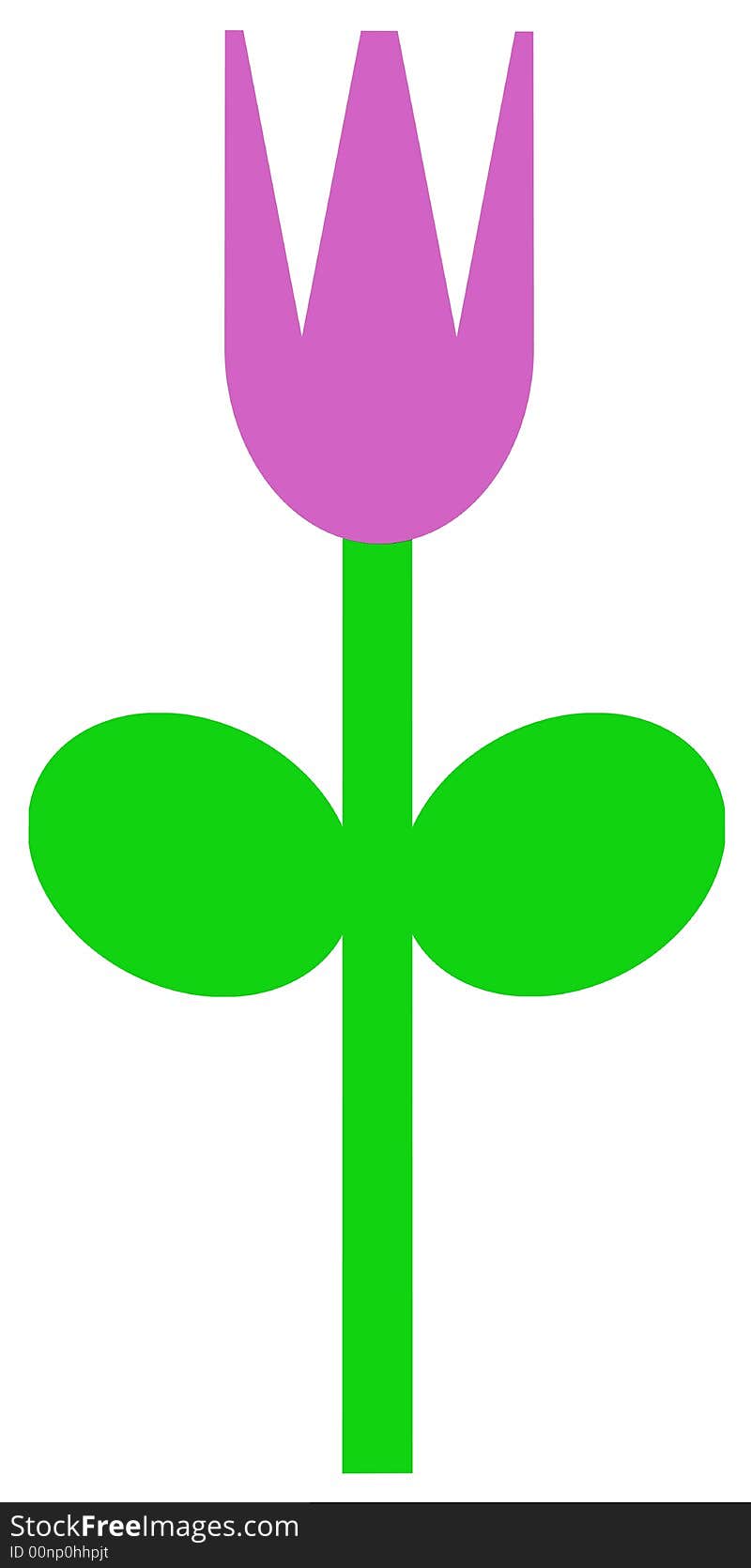 An simple illustration of purple tulip in the spring. An simple illustration of purple tulip in the spring.