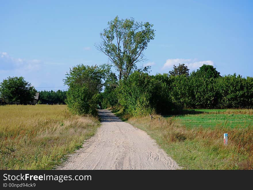 Empty road, trees and blue sky