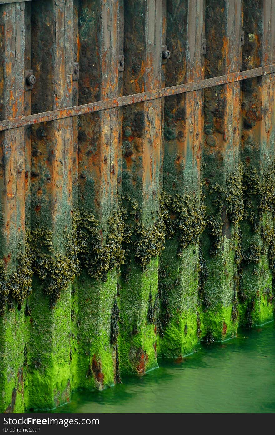 Low Tide at Dock