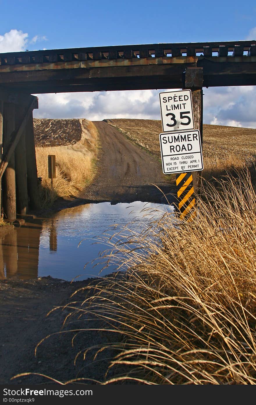 A summer road under a small railroad bridge.