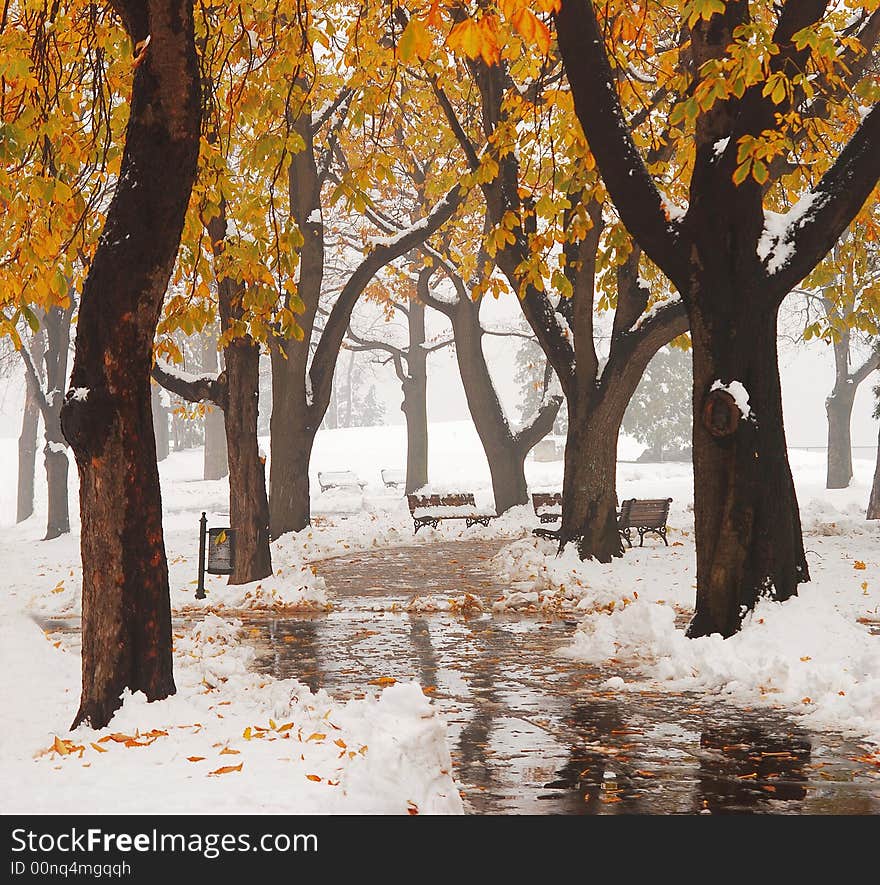 First snow at the park in November