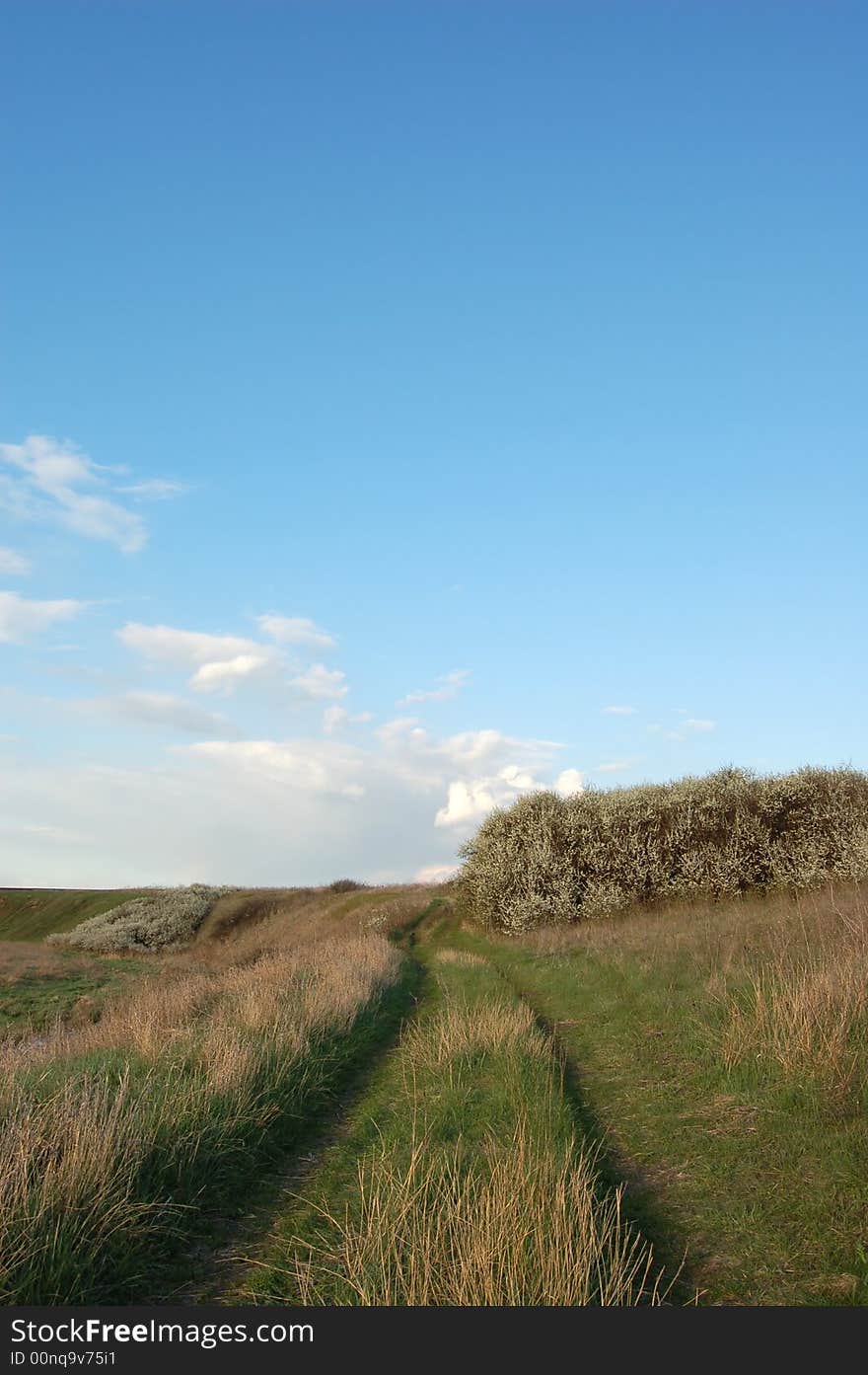 Rural Landscape