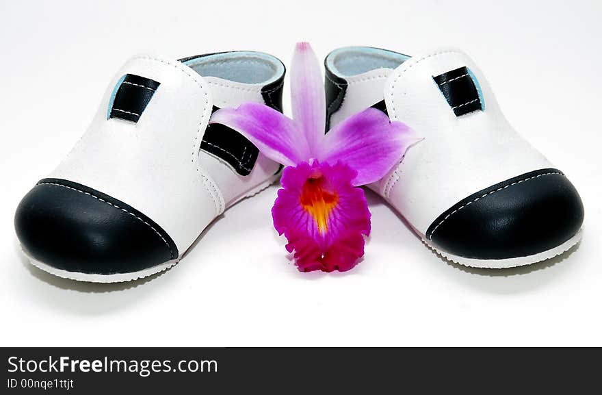 Baby shoes image on the white background