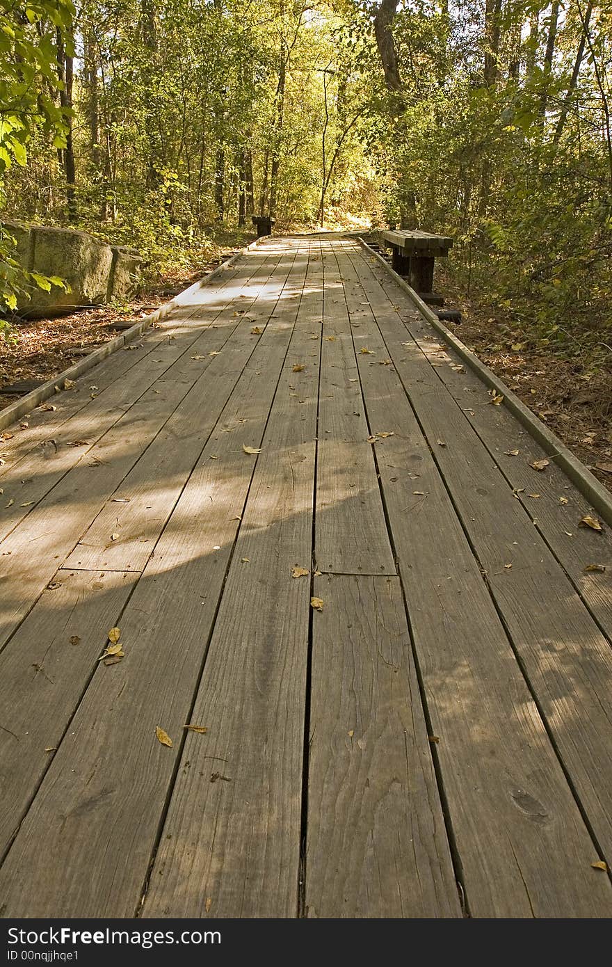 A wooden plank trail leading through the forest. A wooden plank trail leading through the forest