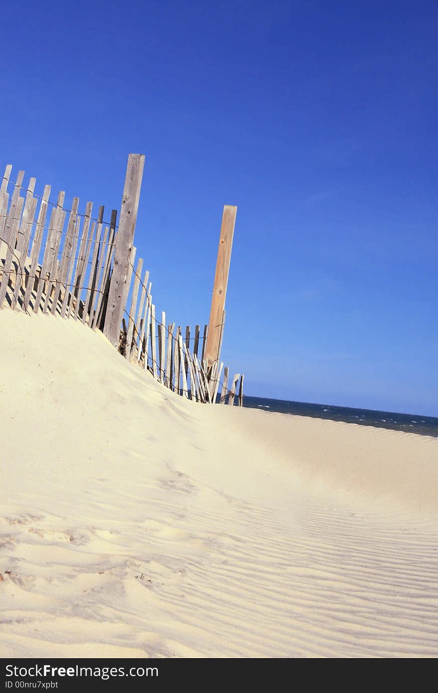 Beach View