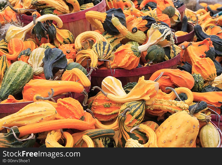 Colorful Autumn Gourds in baskets at a road side farm stand market