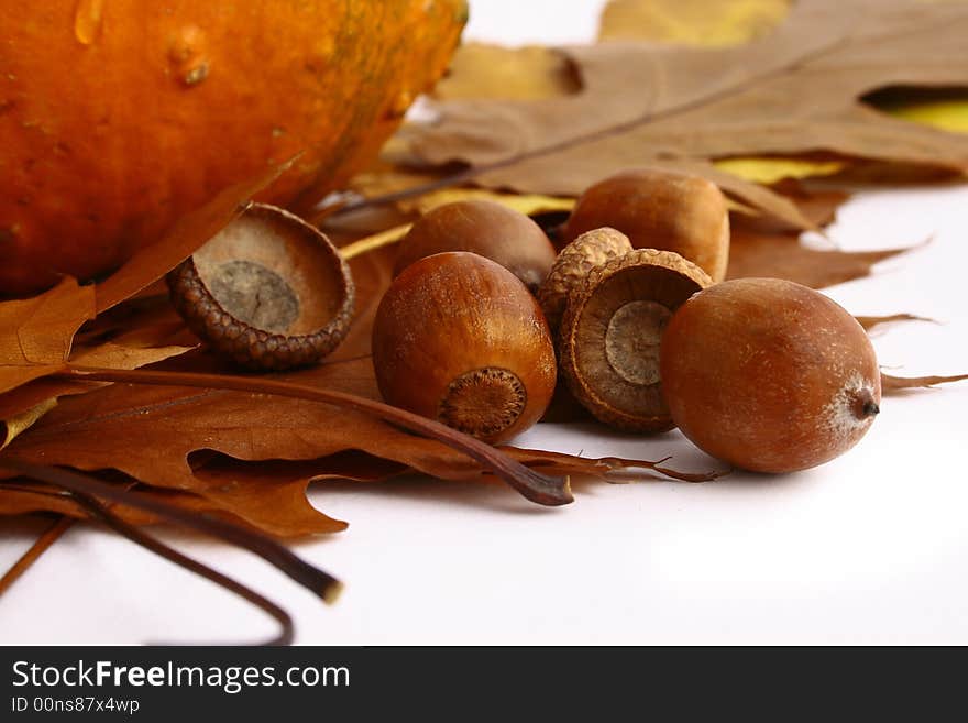 Autumn leaves and acorns frame isolated on white.