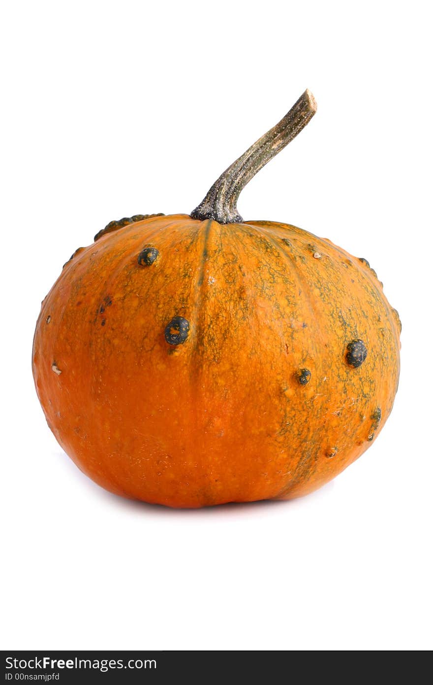 Bright Orange Pumpkin