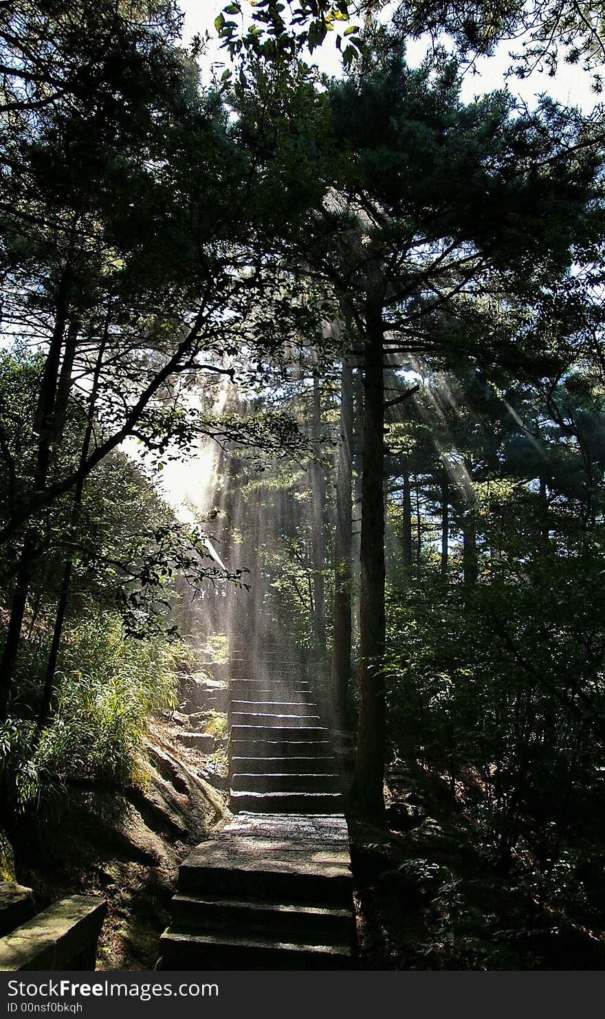 Sun ray penetrating through the fog, showing the beautiful lines