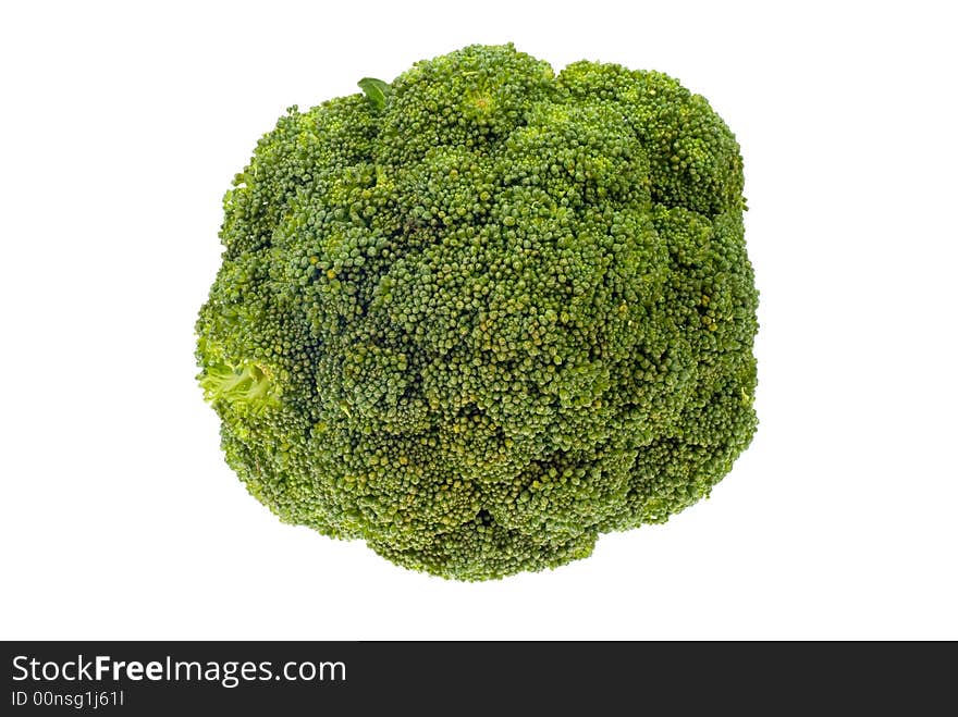 Fresh broccoli isolated on a white background