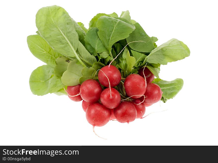 Fresh Radish