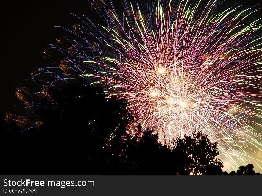 Colorful fireworks with tree silhouette. Colorful fireworks with tree silhouette