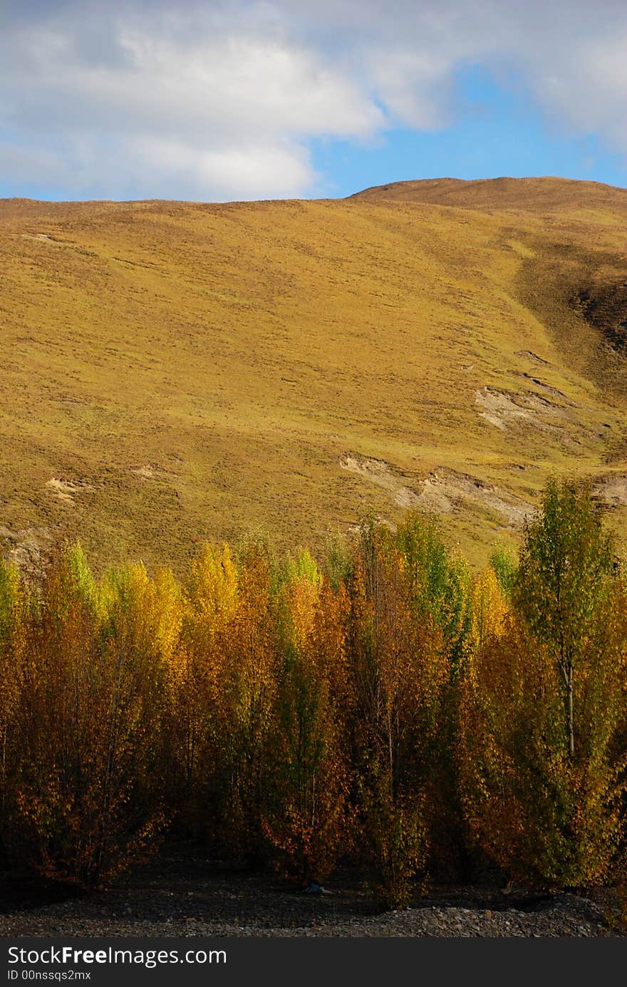 Picture of Daochen City