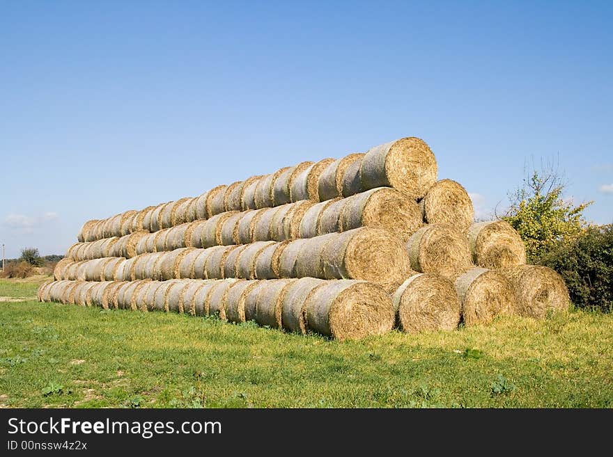 He is a left bale on the field after harvest. He is a left bale on the field after harvest.