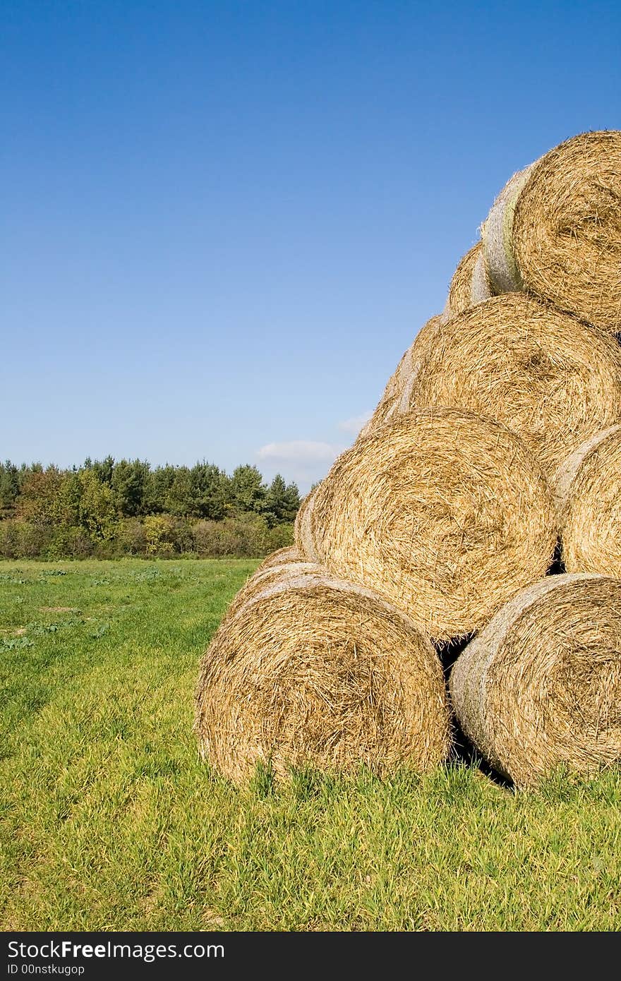 Wheat bale.2