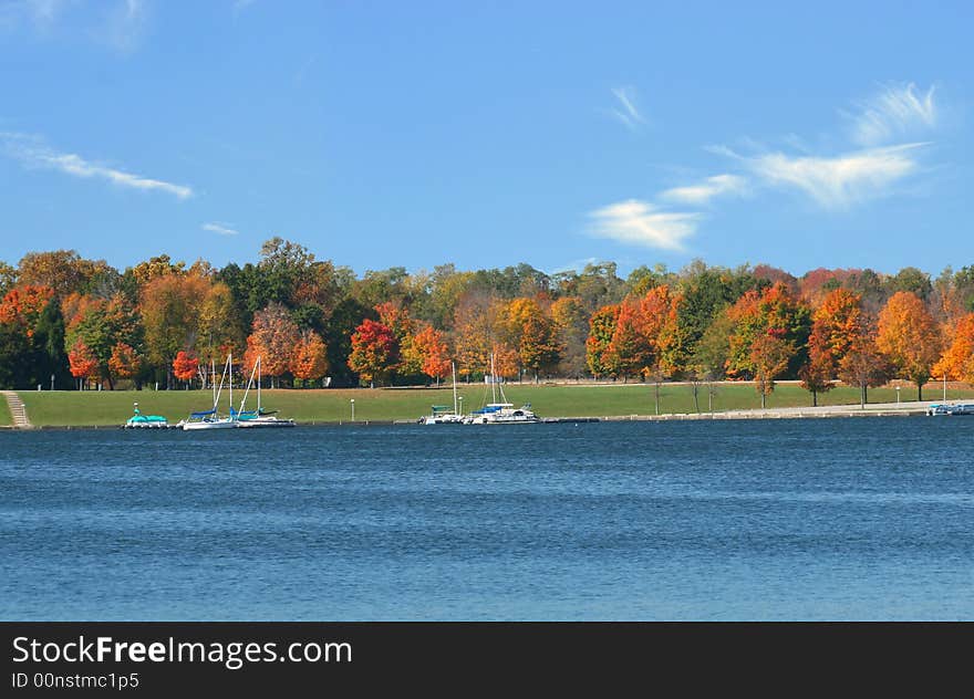 Autumn colored  trees across a lake offset a bright fall day. Autumn colored  trees across a lake offset a bright fall day