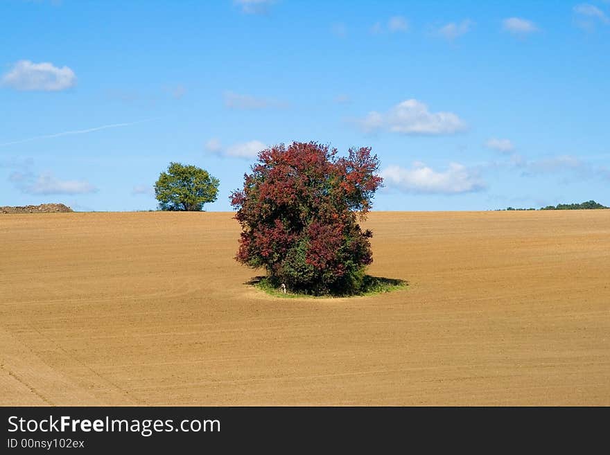 Tillage is Hungary in autumn colours. Tillage is Hungary in autumn colours.