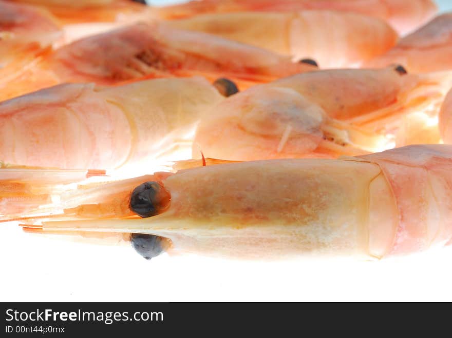 Close up image of shrimps