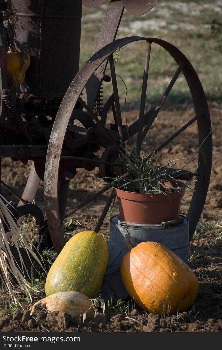 Close up of Pumpkins and farm implement