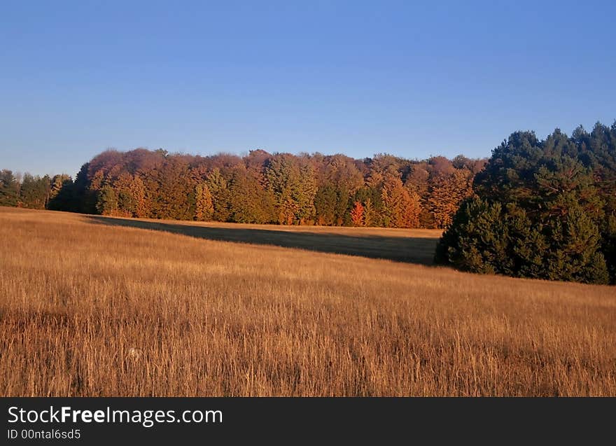 Rural Landscape