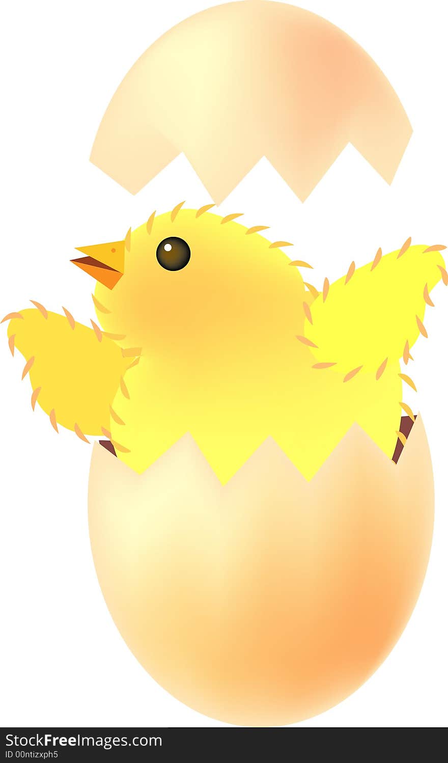 Vector illustration for a chick hatched out from the eggshell