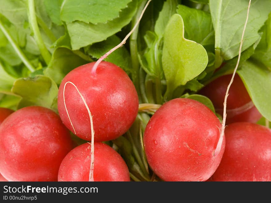 Fresh radish background