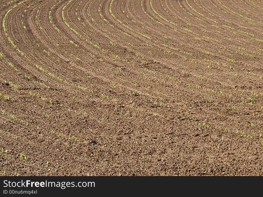 Furrows