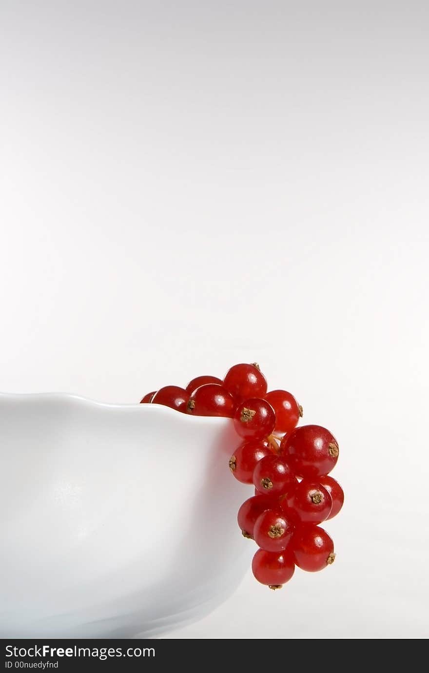 Red currant in a white cup