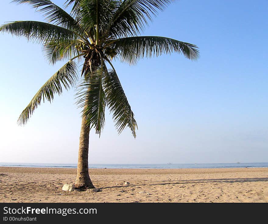 Alone on the beach