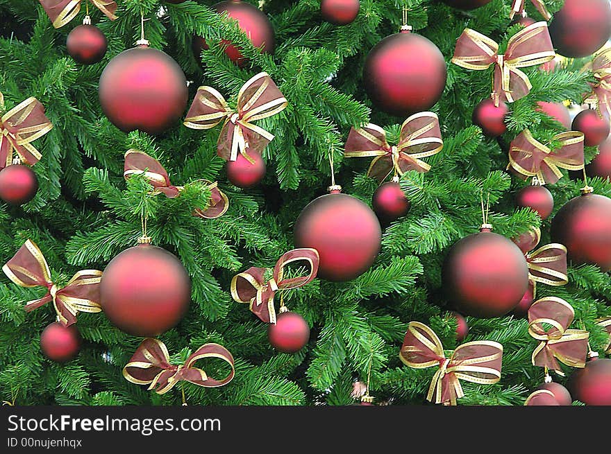 Red spheres on a fur-tree on a holiday of Christmas