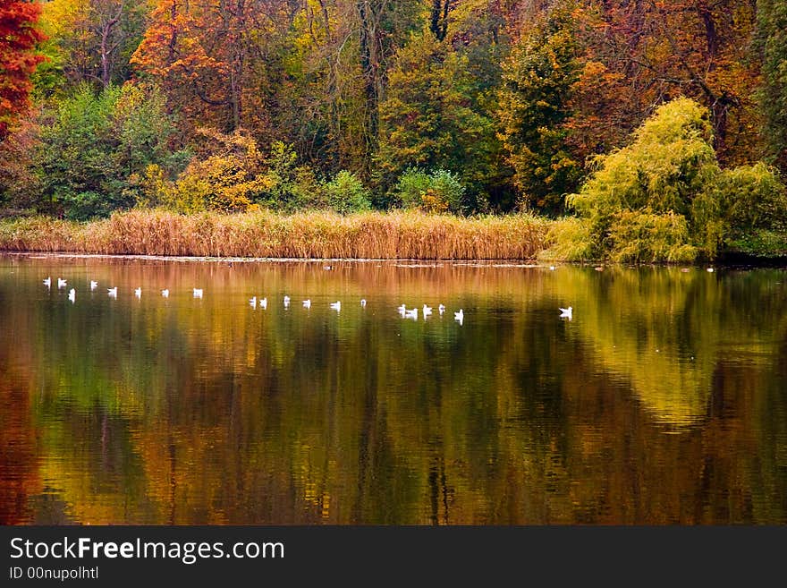 Autumn lake