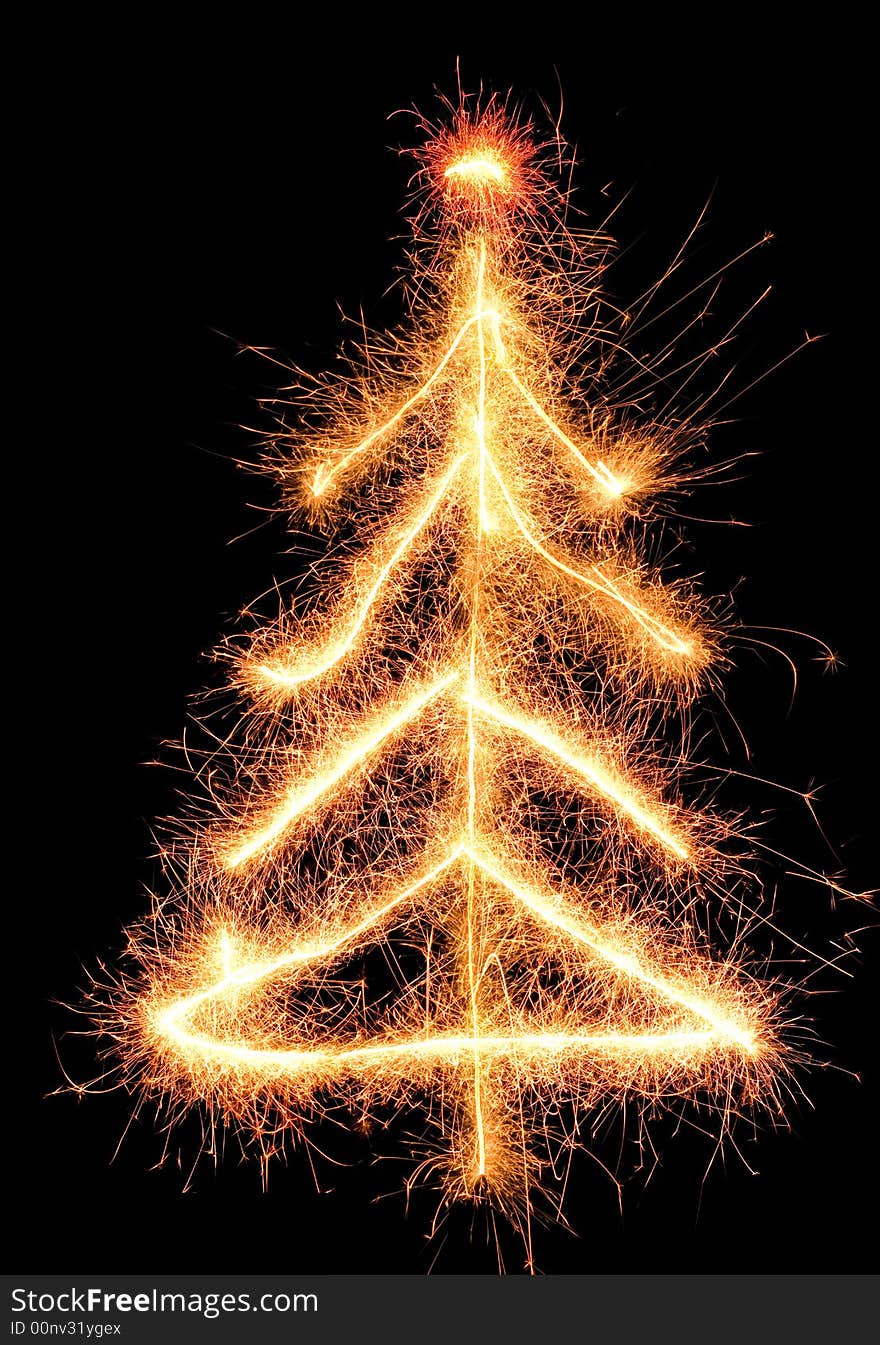 Sparkler Fir