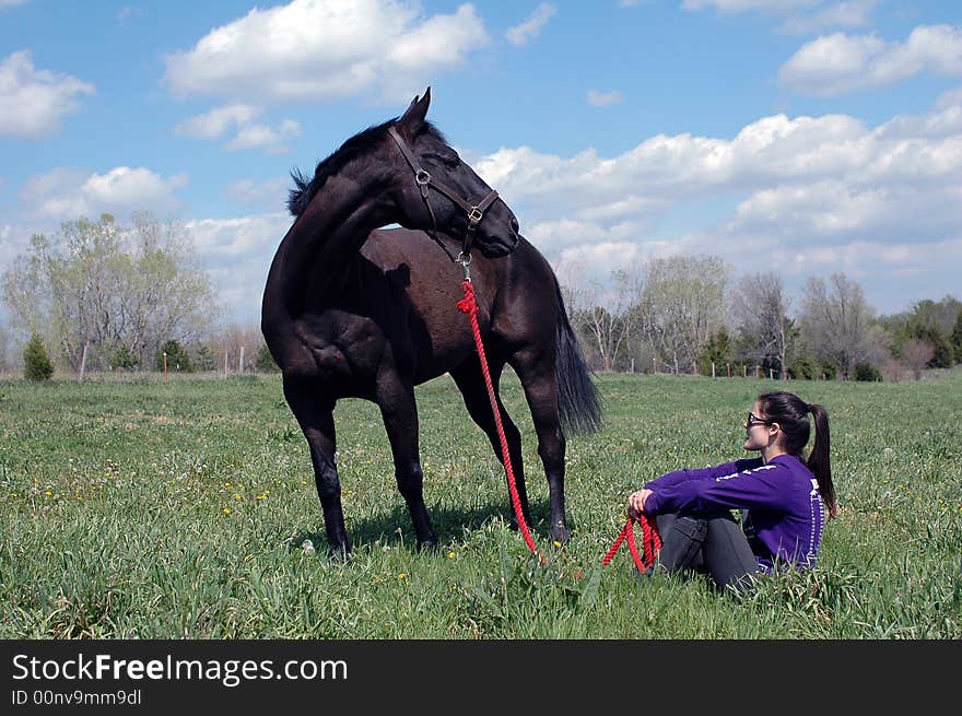 Young woman sitting in grass near black horse. Young woman sitting in grass near black horse.