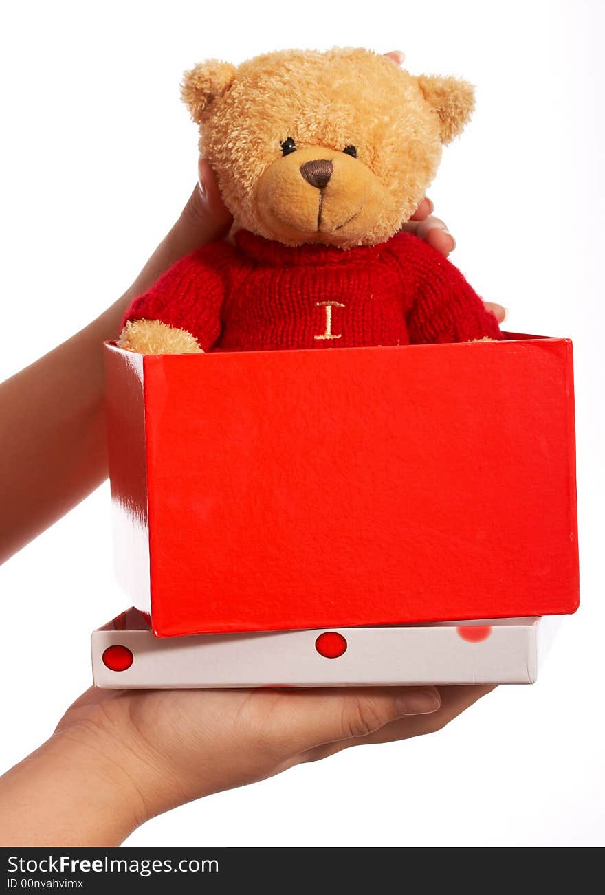 A teddy bear inside a gift box