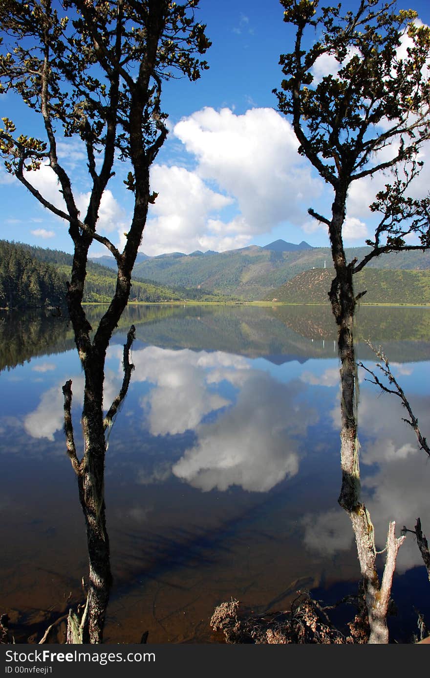 Pudachu national park China located in Shangri-La