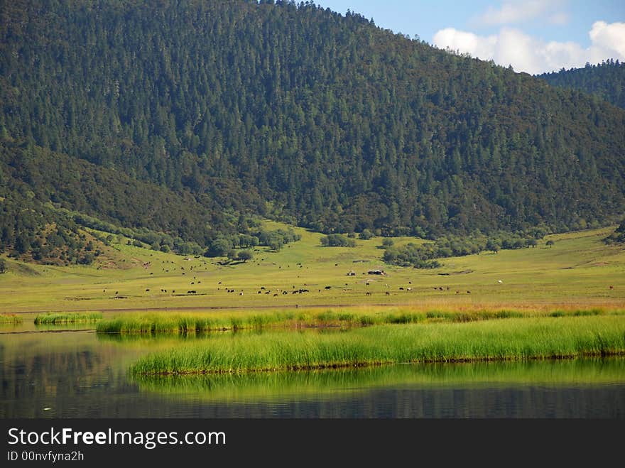 Pudachu national park China located in Shangri-La