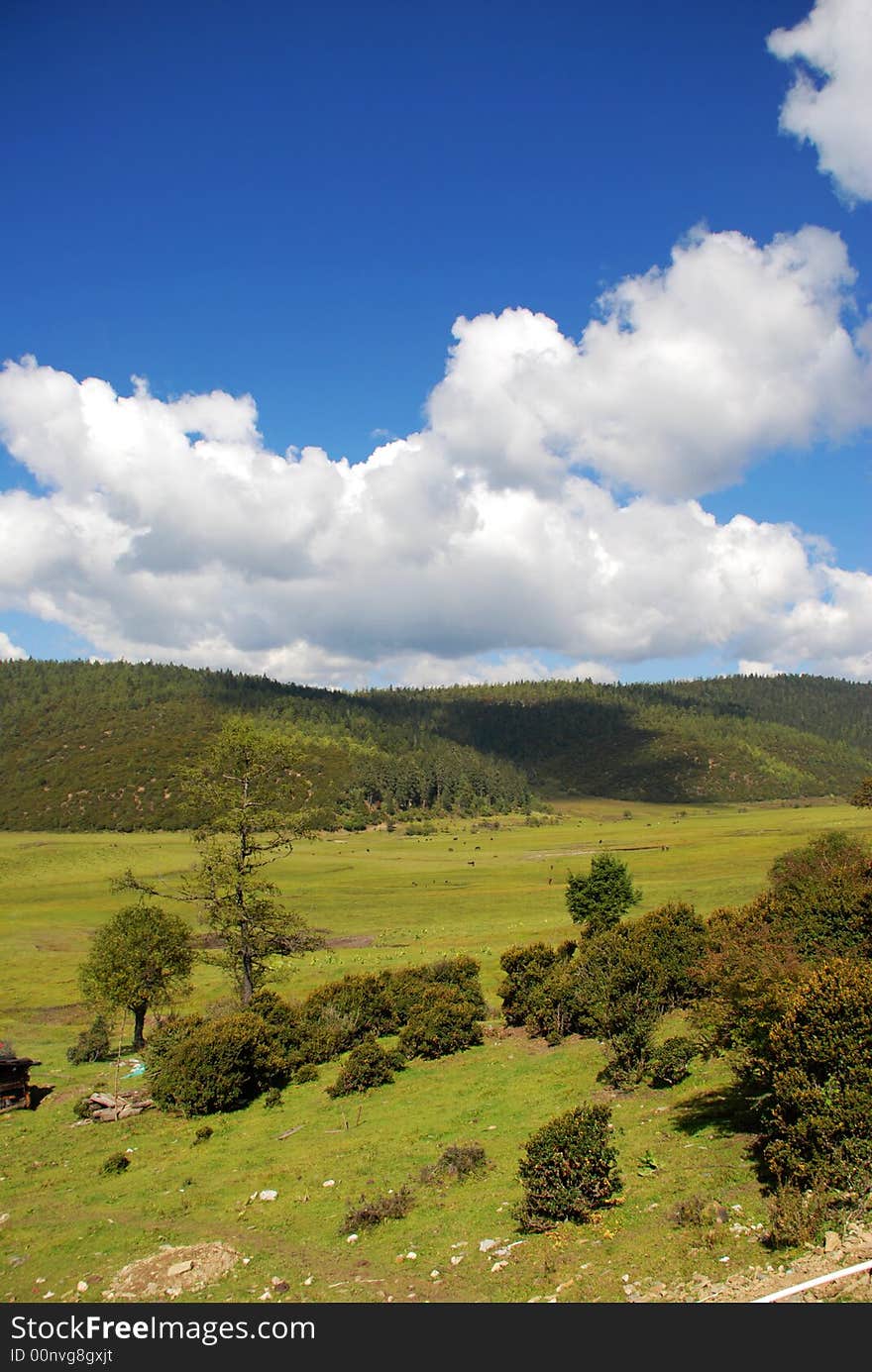 Pudachu National Park China