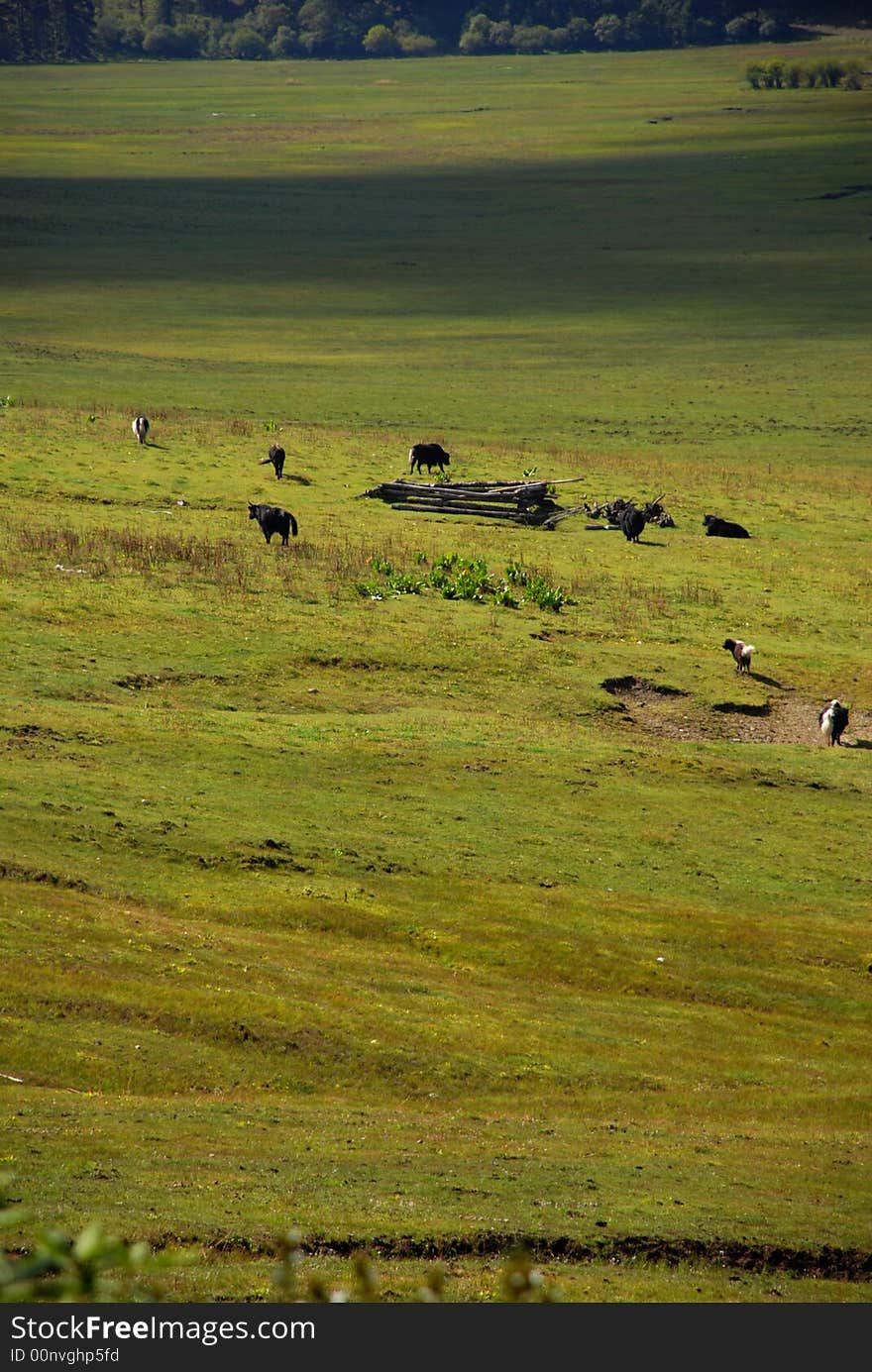 Pudachu national park China