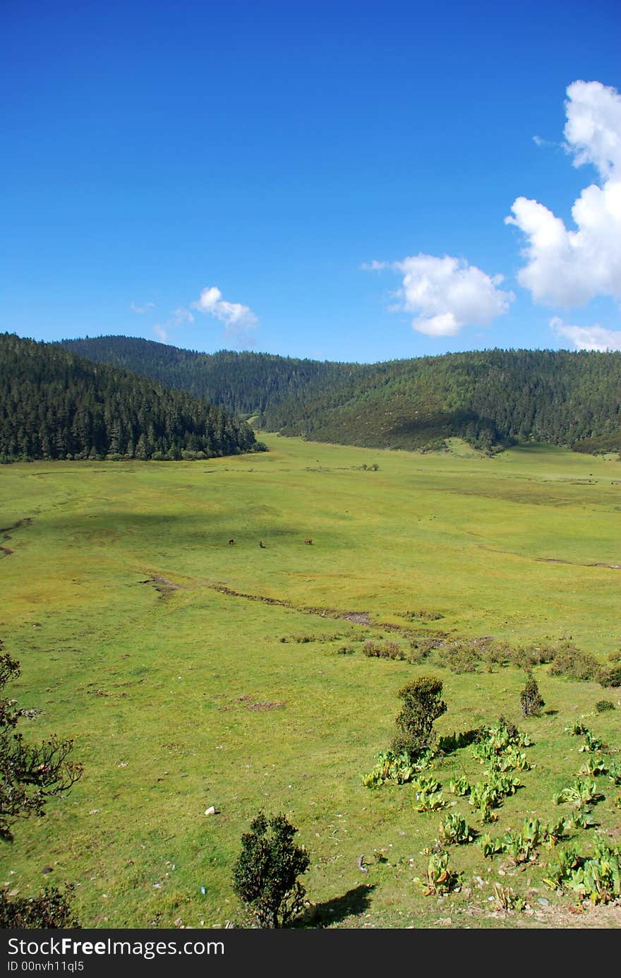 Pudachu national park China located in Shangri-La