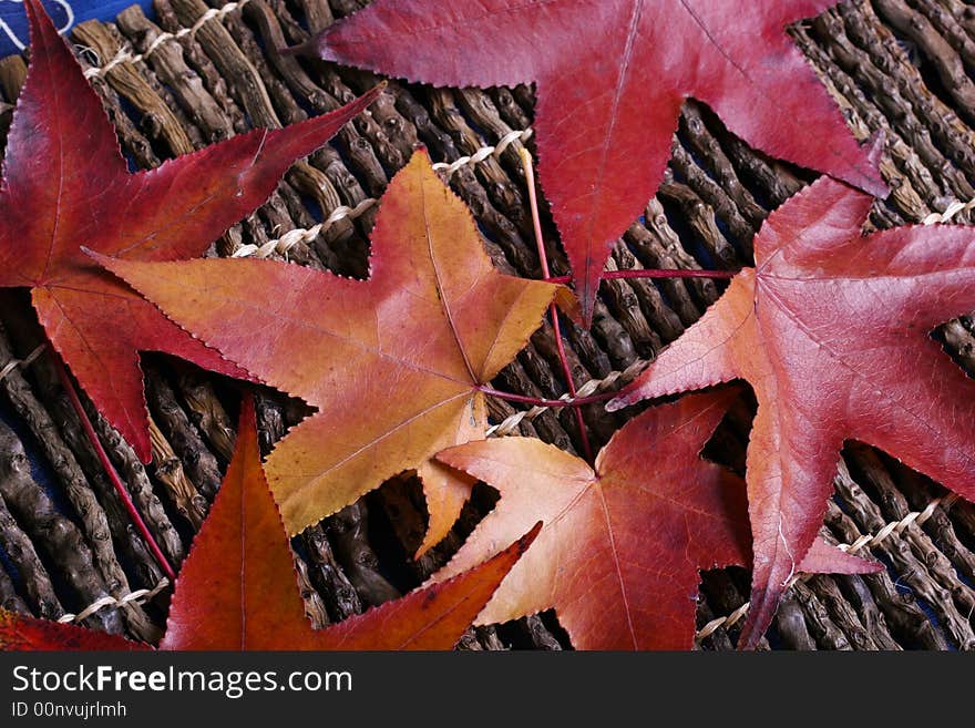 Red leaves on sticks